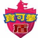 精灵宝可梦盾